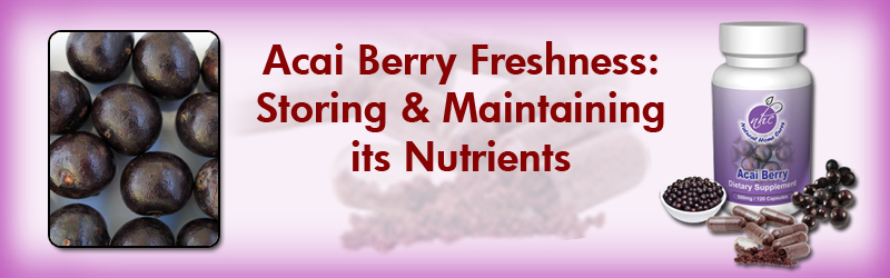 Acai Freshness: Storing and Maintaining its Nutrients