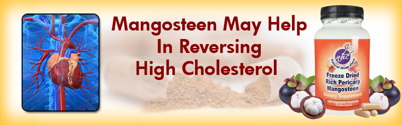 Natural Home Cures Freeze Dried Rich Pericarp Mangosteen May Help In Reversing High Cholesterol