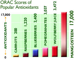 Freeze Dried Rich Pericarp Mangosteen ORAC Values